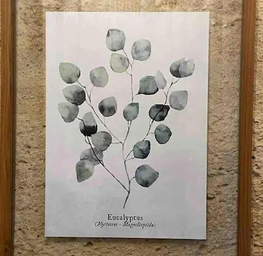 度假居 Clos D'aurelia, De Charme *